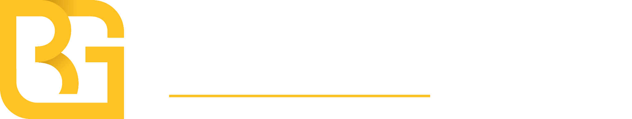 Brightlife group LLC